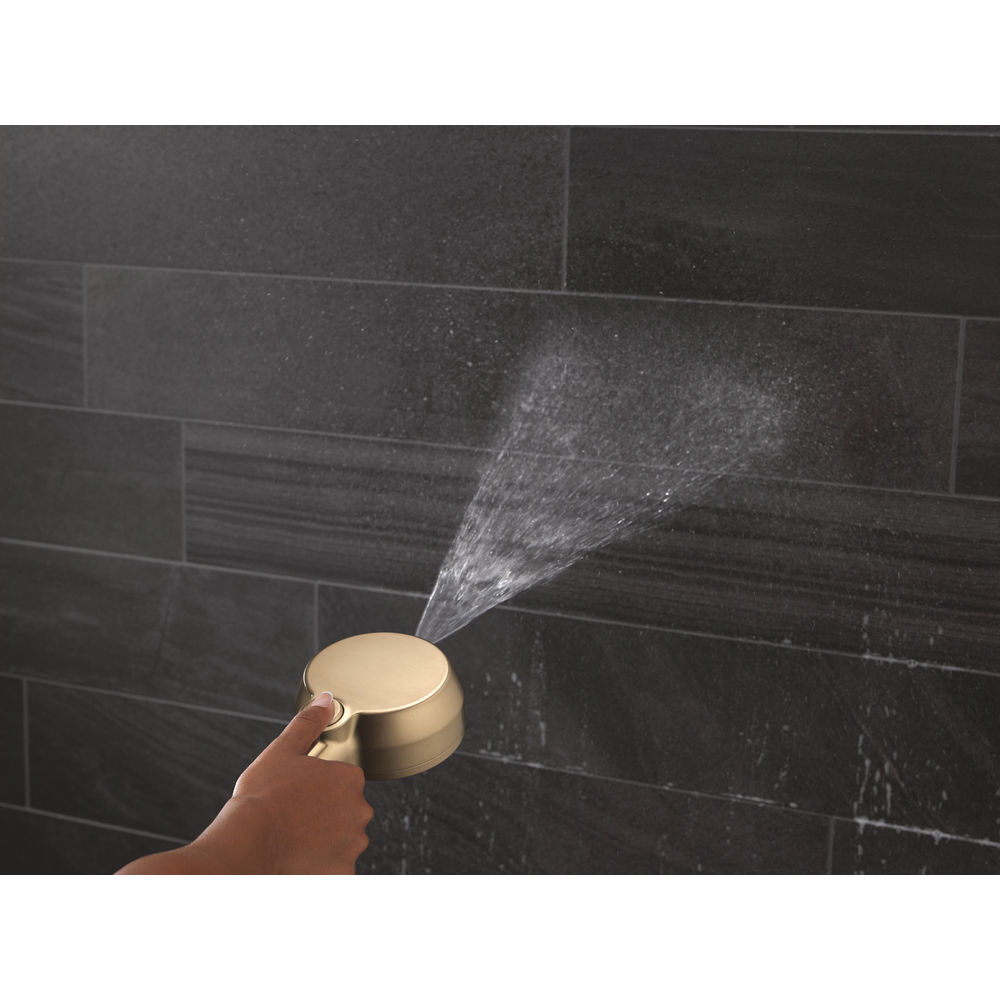 5-Setting In2ition with ProClean 58596-CZ25-PK | Delta Faucet