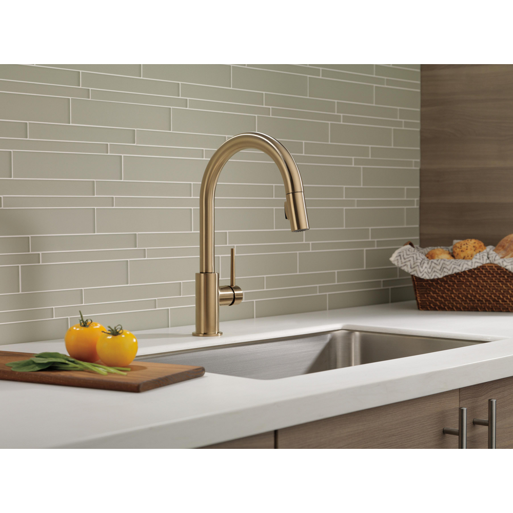 Champagne bronze deals kitchen faucet