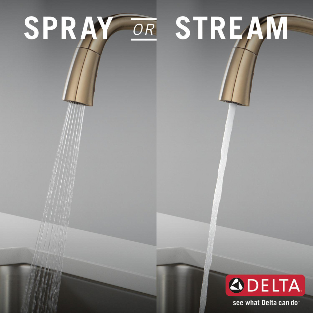 9176-CZ-PR-DST_KitchenSprayorStream_Infographic_WEB.jpg