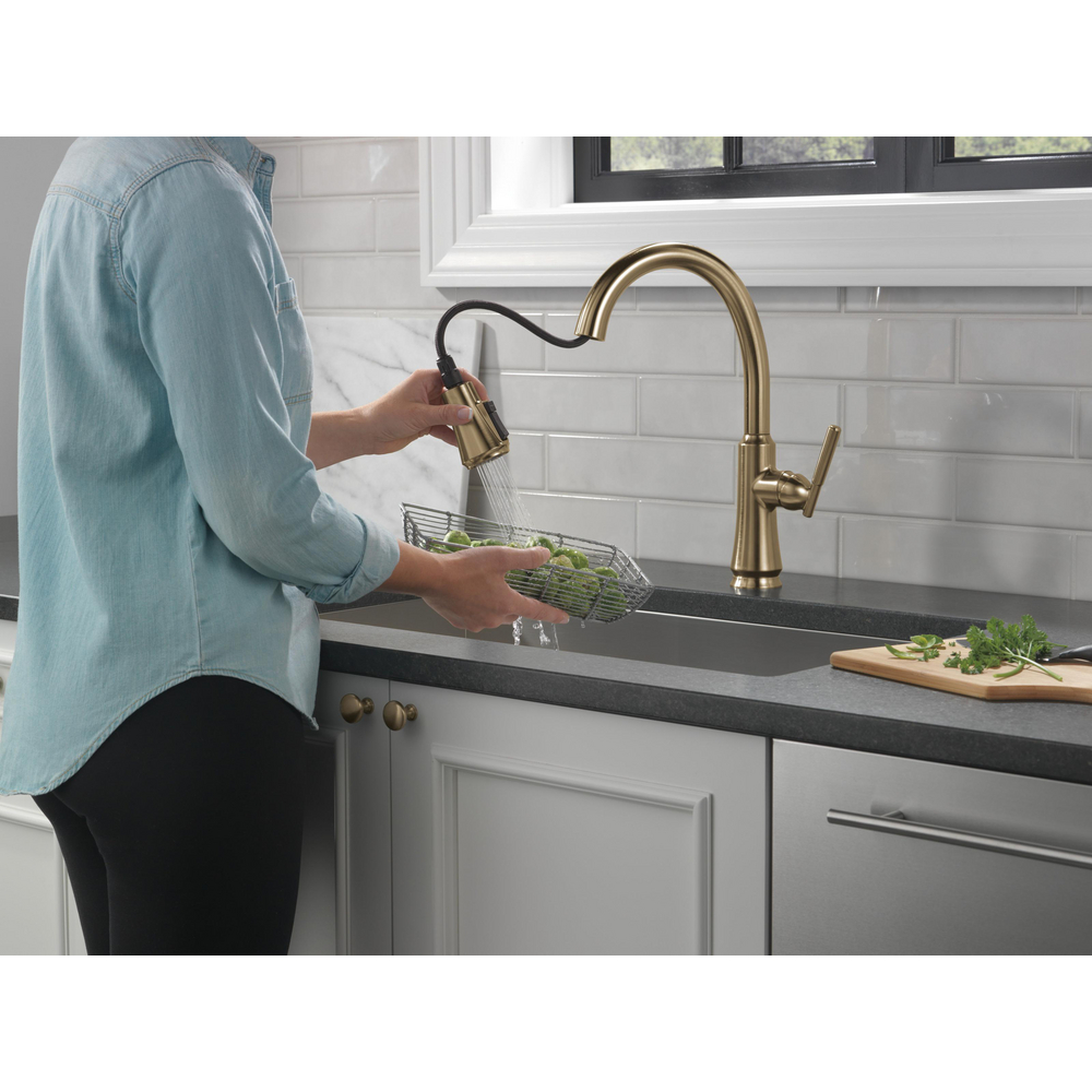 SINGLE HANDLE PULL-DOWN SHIELDSPRAY CZ 9179-CZ-DST | Delta Faucet