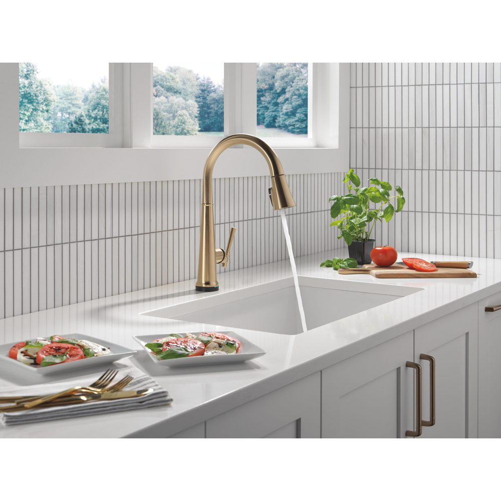 Emmeline Touchless Kitchen Pulldown CZ 9182TL-CZ-PR-DST | Delta Faucet