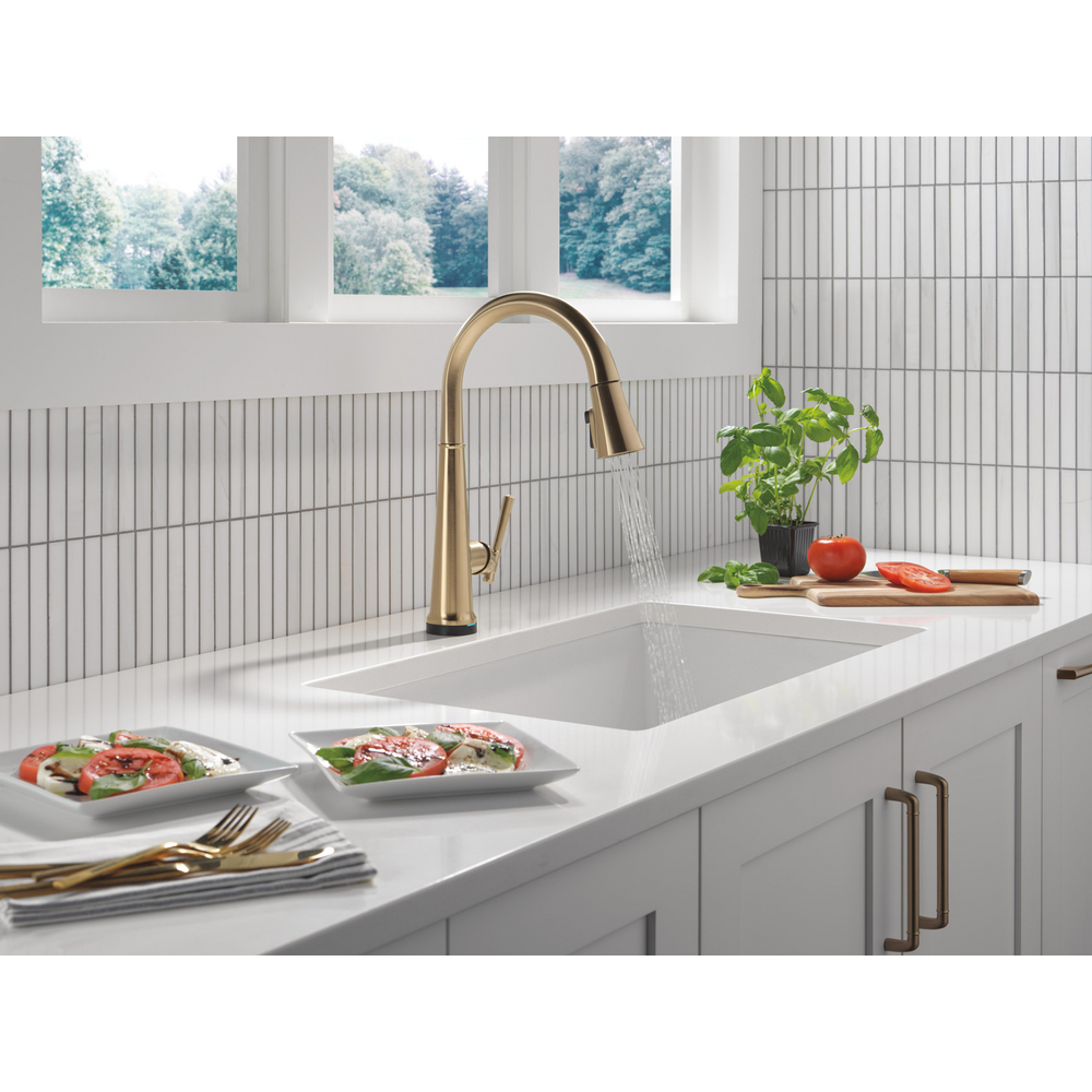 Emmeline Touchless Kitchen Pulldown CZ 9182TL-CZ-PR-DST | Delta Faucet