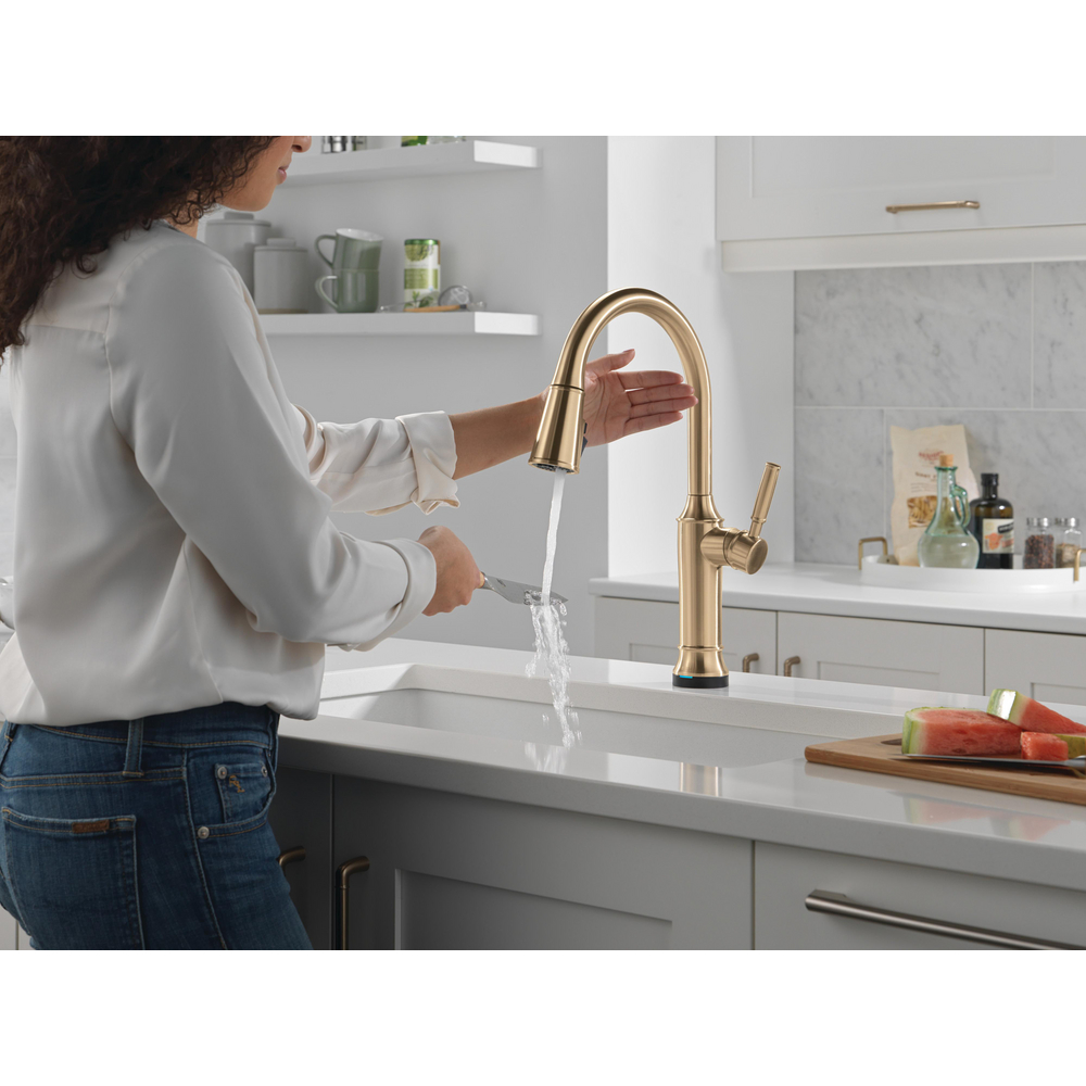 Touch2O Kitchen Faucet with Touchless Technology 9184TL-CZ-PR-DST