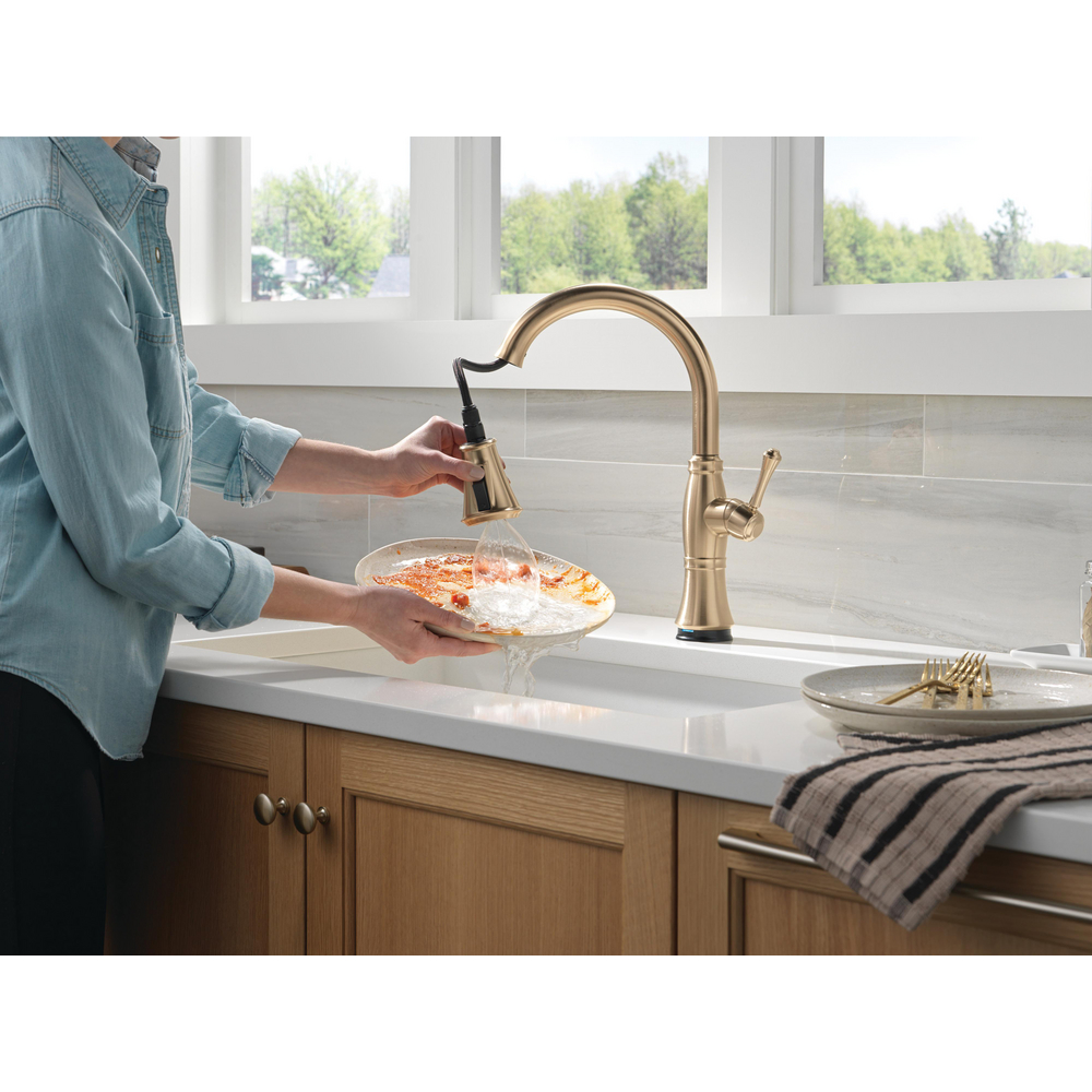 DM17 Work Relaxed Fit: D'Lux Walker SR - Ozema - BLACK