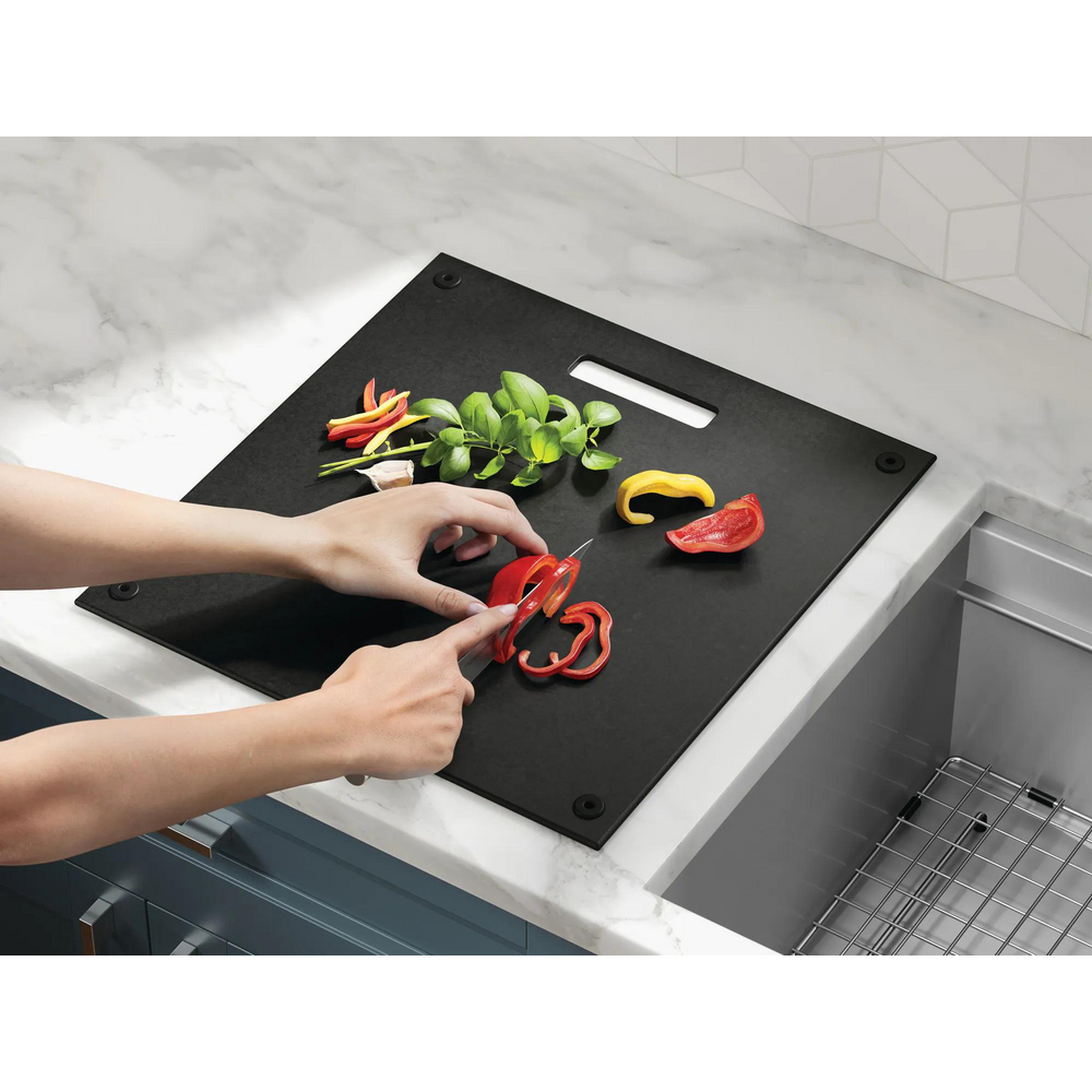 Single Handle Pull-Down Kitchen Faucet with Touch2O Technology