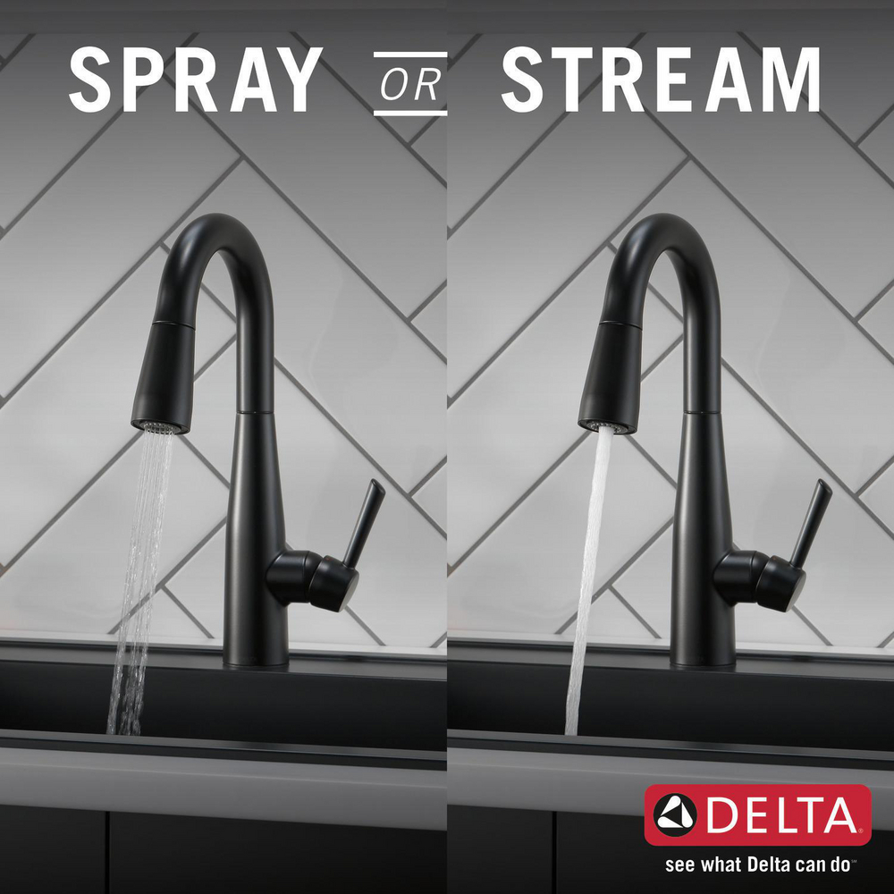 9913-BL-DST_KitchenSprayorStream_Infographic_WEB.jpg