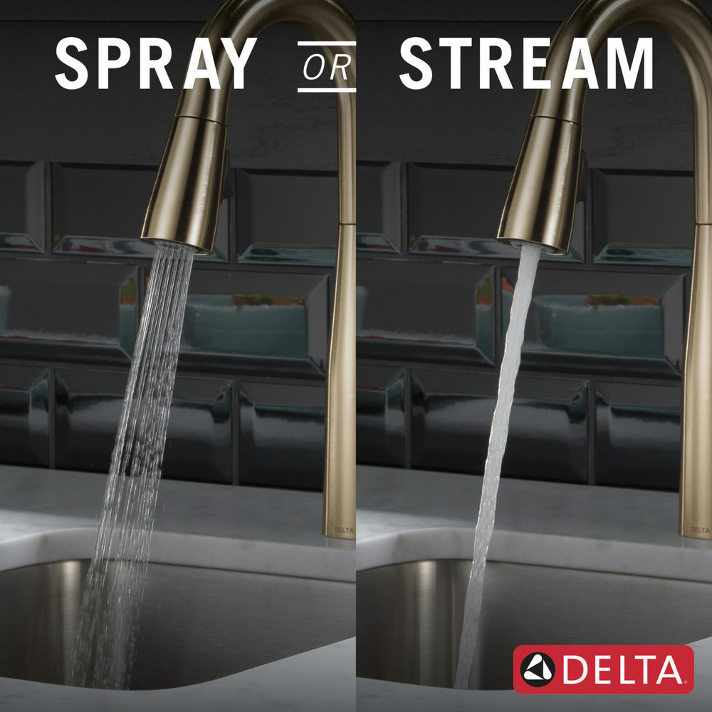 9913-CZ-DST_KitchenSprayorStream_Infographic_WEB.jpg