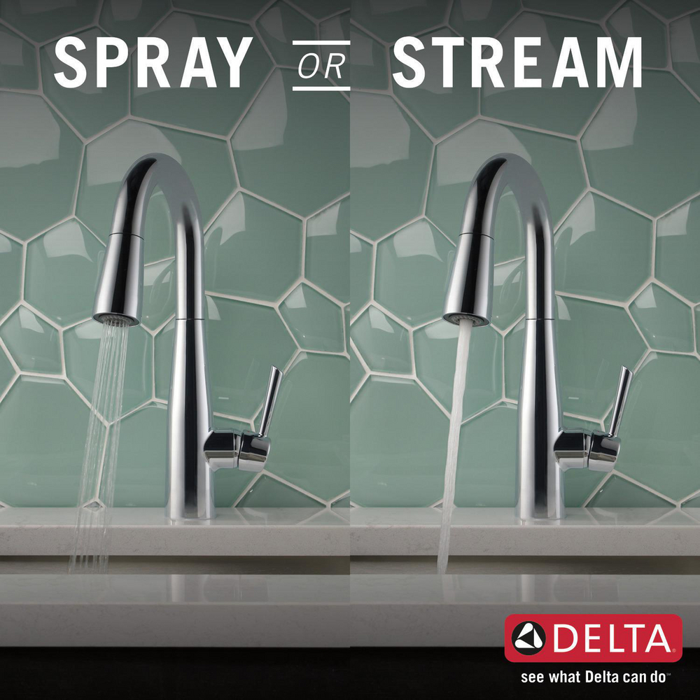 9913-DST_KitchenSprayorStream_Infographic_WEB.jpg