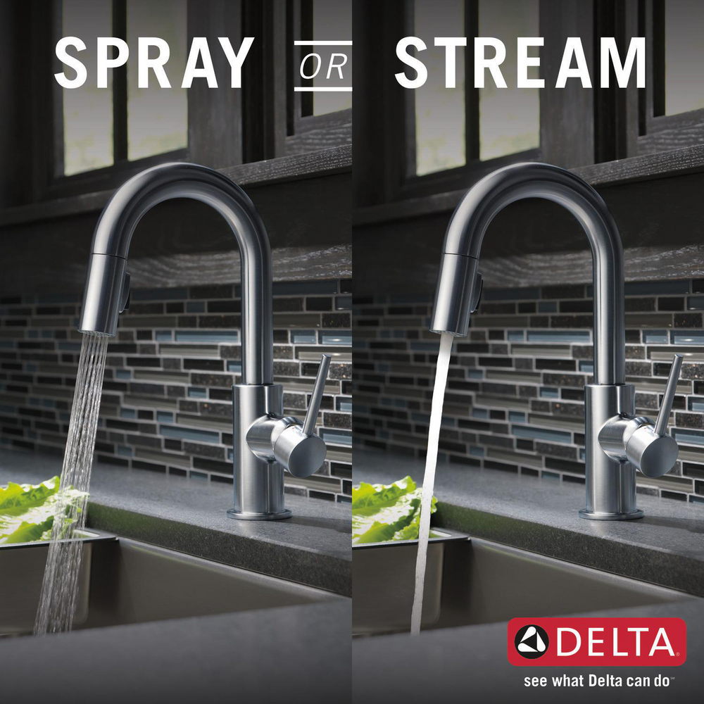 9959-AR-DST_KitchenSprayorStream_Infographic_WEB.jpg