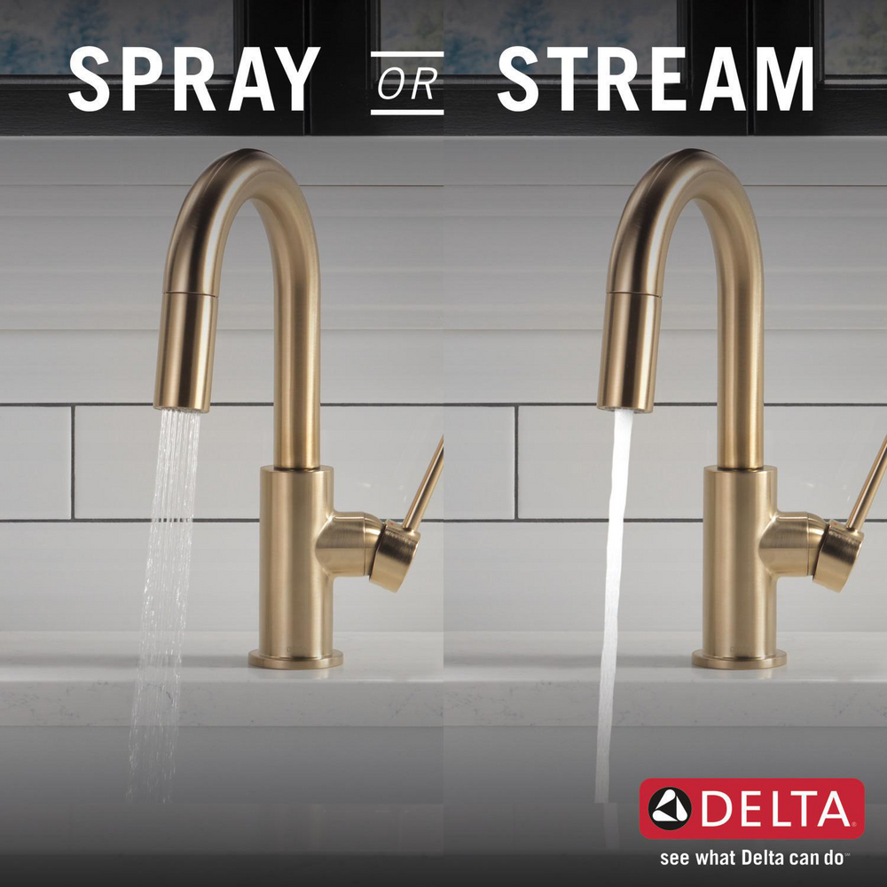 9959-CZ-DST_KitchenSprayorStream_Infographic_WEB.jpg