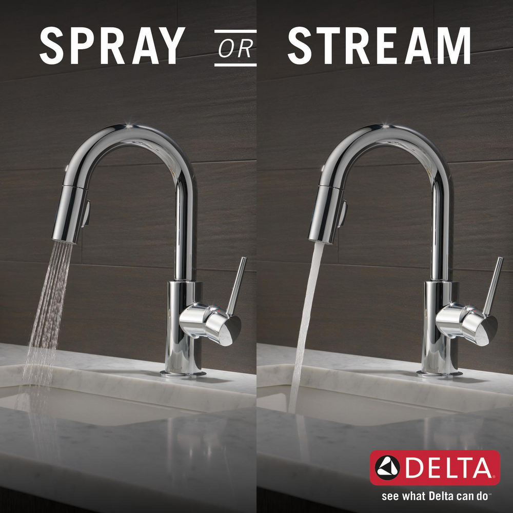 9959-DST_KitchenSprayorStream_Infographic_WEB.jpg