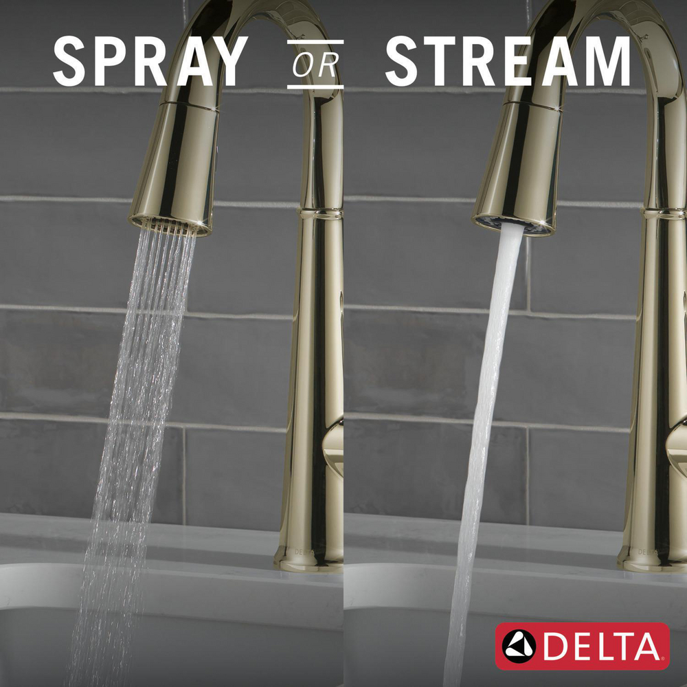 9982-PN-PR-DST_KitchenSprayorStream_Infographic_WEB.jpg