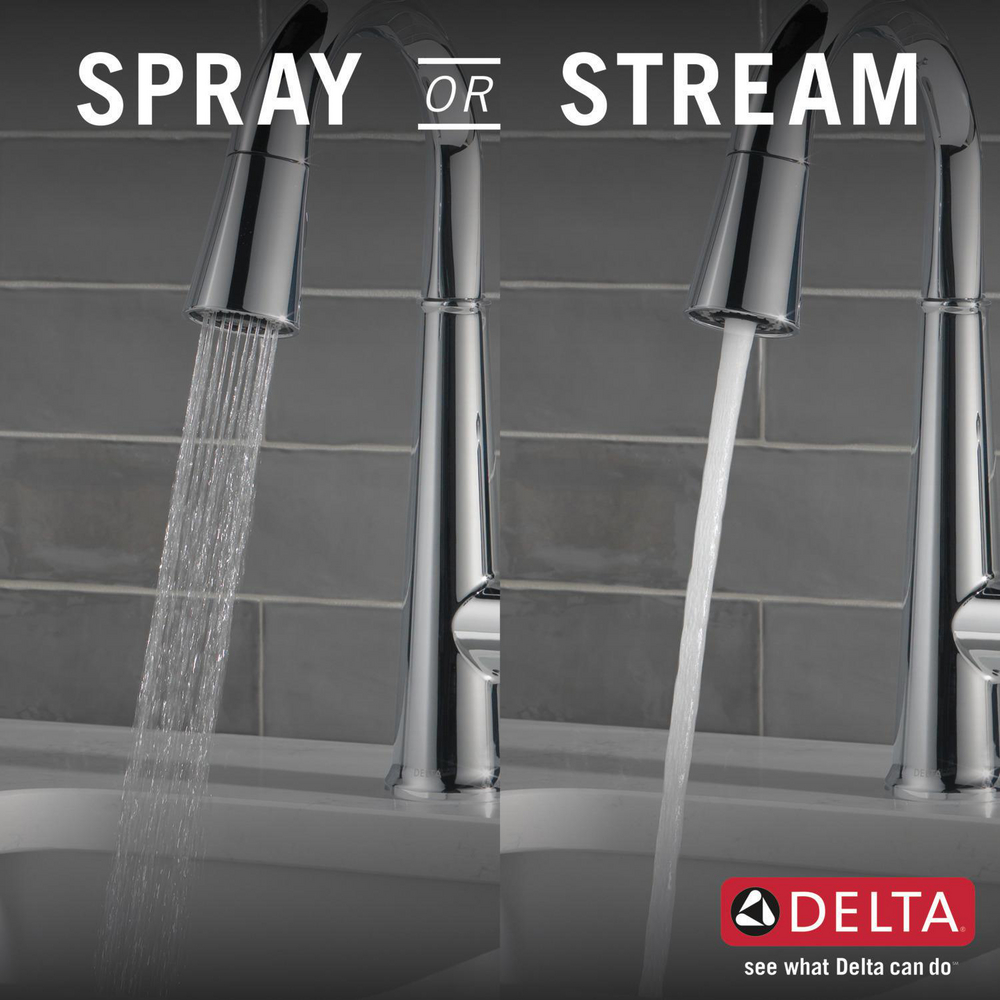 9982-PR-DST_SprayorStreamKitchen_Infographic_WEB.jpg