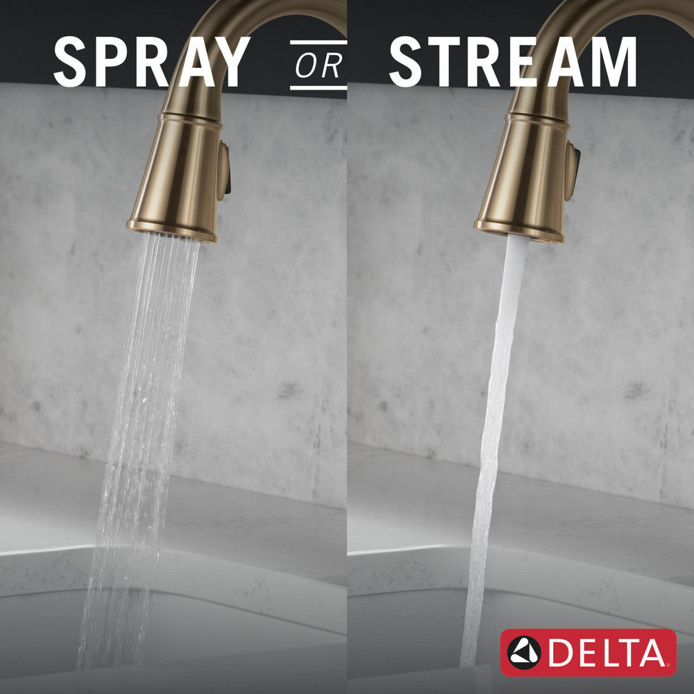 9984-CZ-PR-DST_KitchenSprayorStream_Infographic_WEB.jpg