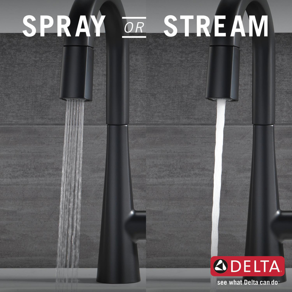 9991-BL-DST_KitchenSprayorStream_Infographic_WEB.jpg