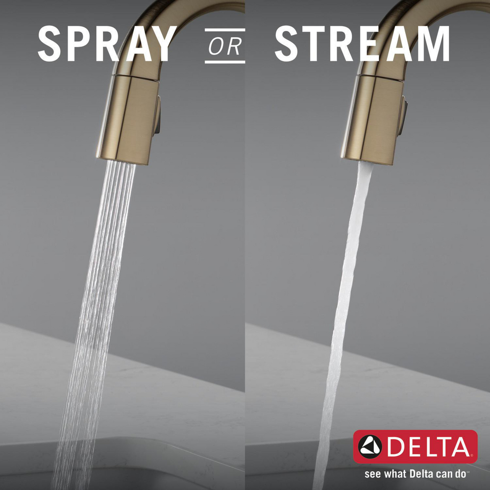 9991-CZ-PR-DST_KitchenSprayorStream_Infographic_WEB.jpg