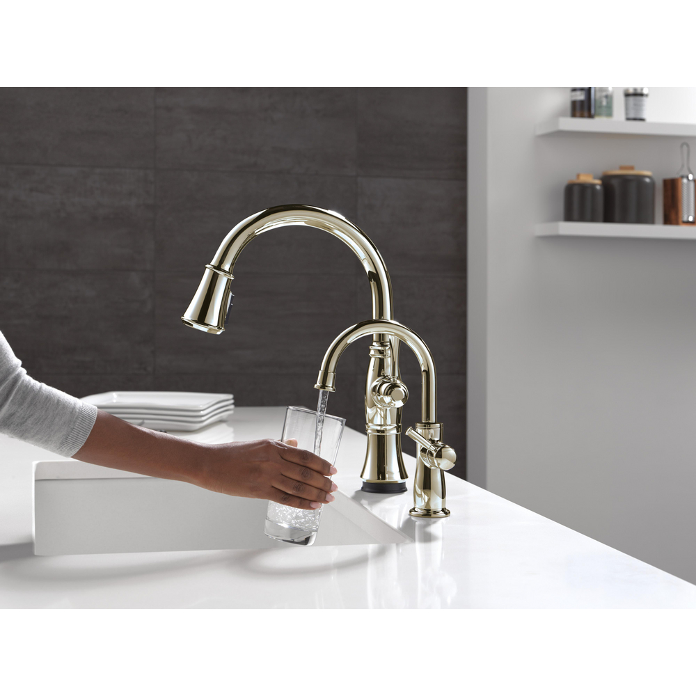 AVS2-WQ2103-PN_9197TL-PN-PR-DST_MODEL_WATER_WEB.jpg