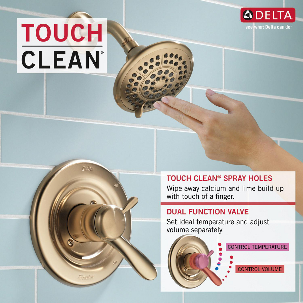 T17438-CZ_TouchCleanDualFunctionShowers_Infographic_WEB.jpg