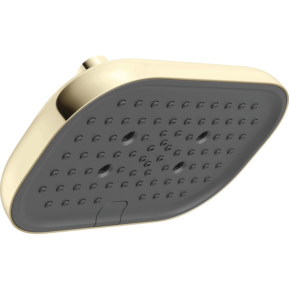 Print Cta H2Okinetic 6-Setting 9-inch Raincan Shower Head with Silicone Spray ...