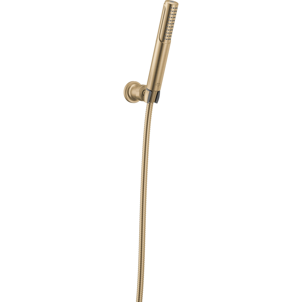 2-Setting Hand Shower with ProClean Spray ? Wall Mount 55537-CZ-PR